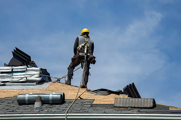 Professional Roof Replacement technician working in Pine Bluffs, WY